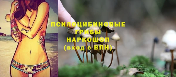 2c-b Баксан