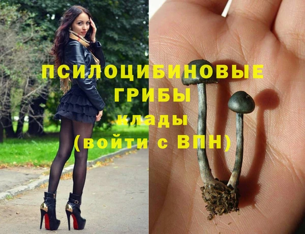 2c-b Баксан